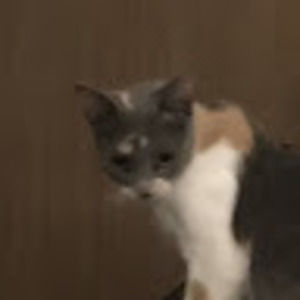 Meet your Posher, Janna